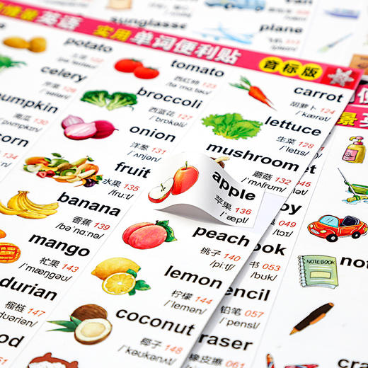 【昂秀外语】实用单词便利贴 家庭情景英语 小学英语单词 单词贴纸 儿童贴纸 商品图5