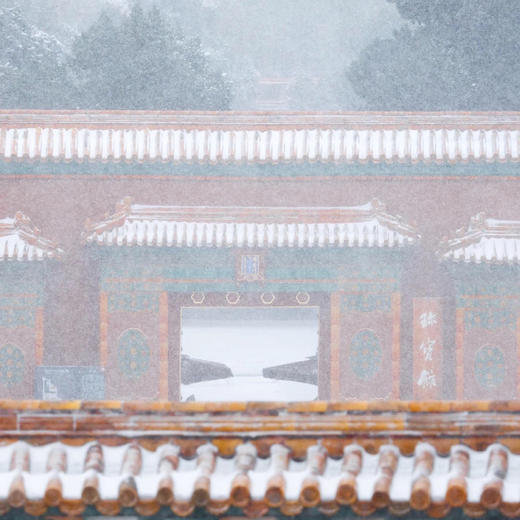 紫禁城600年茶具 雍正磁胎画珐琅芝兰祝寿黄地仿古茶具 商品图10