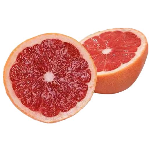 庄怡柚儿圆红心蜜柚 商品图0