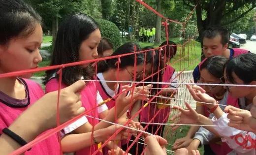 《一丝不苟》穿针引线实操布置详解 商品图0