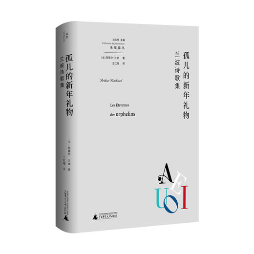 【半山书局】B14F丨孤儿的新年礼物 商品图0