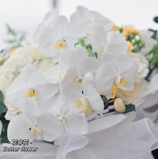 《蝴蝶》-巨型蝴蝶兰花束 商品图5