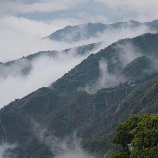 海底捞针 商品图3