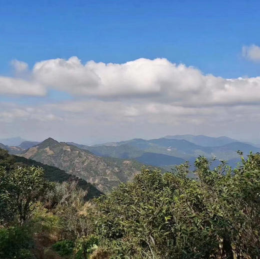 开工福利 大金砖八仙过海 商品图8