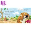 【中商原版】Found You, Little Wombat! 找到你了，小袋熊！英文原版 进口原版 2岁到5岁 儿童图画书 Angela McAllister 商品缩略图2