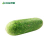 谷宝生态毛节瓜 商品缩略图0