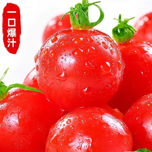有机小番茄9.9两盒 商品图0
