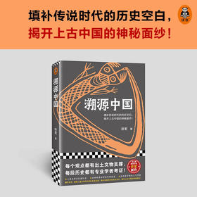 溯源中国 许宏 著 填补传说时代的历史空白 揭开上古中国的神秘面纱 许宏考古历史二里头三星堆文化 中华文明是如何崛起的 考古学知识