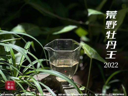 《冷香宜》，2022荒野牡丹王里的清冷寒香（60克罐装） 商品图5