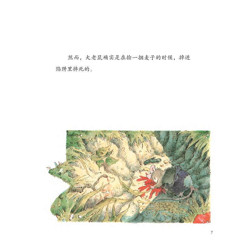 试读PDF-9787308197908(1-1)-我们不分开系列_013.jpg