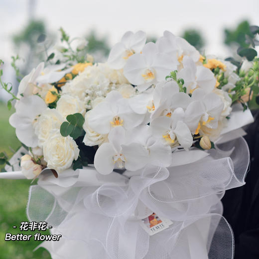 《蝴蝶》-巨型蝴蝶兰花束 商品图7