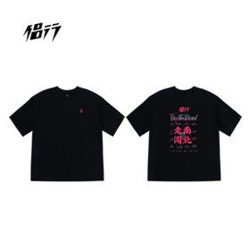 侣行 张昕宇梁红同款 走南闯北纪念款T恤 反光LOGO落肩宽松版短袖