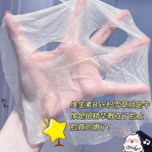 【爆！4盒装更超值！！！】碧然堂原B5积雪草面膜女补水保湿收缩毛孔修复熬夜去黄油性皮肤痘痘肌清洁面膜 商品图6