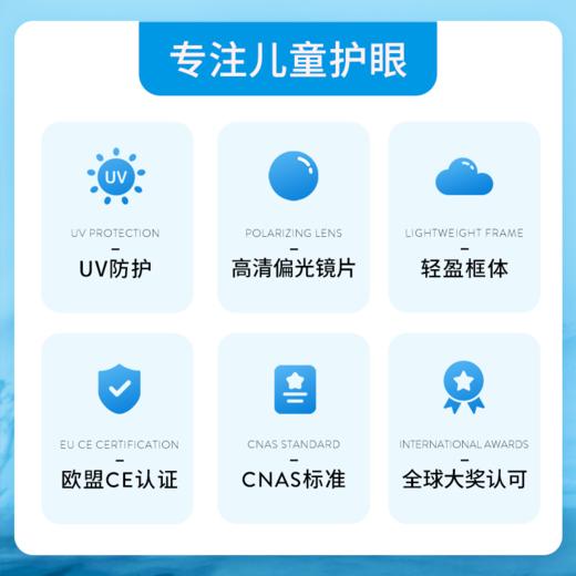 OLIVIO&CO 太阳眼镜 经典系列 超轻偏光防UV 商品图2