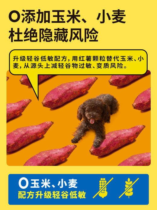 贵宾泰迪专用 经典狗粮 1.5kg｜疯狂小狗 小蓝包3斤 商品图2