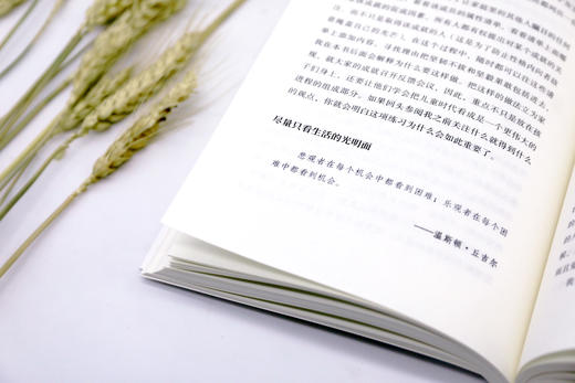 给大人的成长书 商品图5