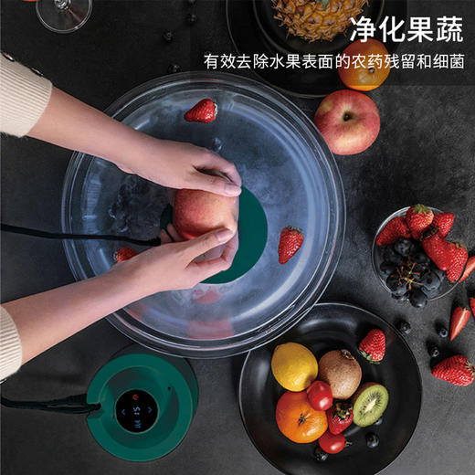 洗菜机果蔬清洗解毒机去农残肉类杀菌消毒食材净化机HJ-F701L白色 商品图4