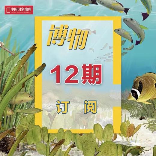 《身边花草图鉴 》博物杂志花草专题精选集 2022年增刊礼物礼盒 商品图4