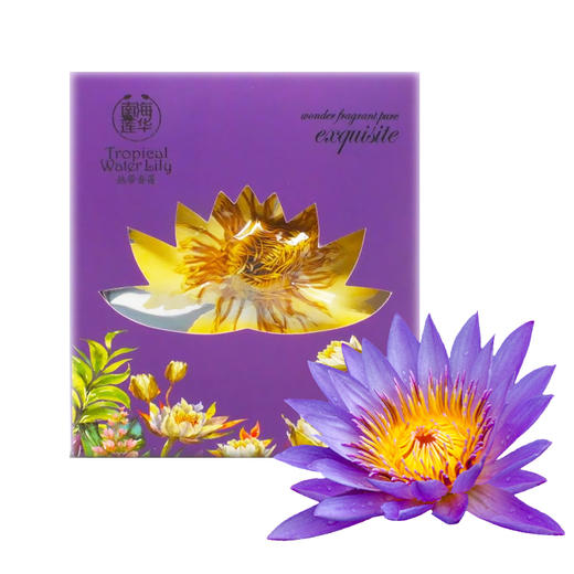 【部分地区包邮】热带香莲/莲花茶 煮水冲泡 色润香飘 养生佳品 海南岛无公害种植 手工采摘 2朵/5朵/12朵装 商品图2
