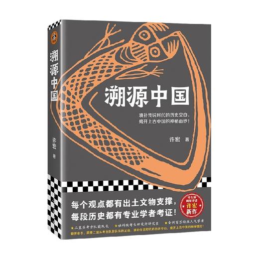 溯源中国 许宏 著 填补传说时代的历史空白 揭开上古中国的神秘面纱 许宏考古历史二里头三星堆文化 中华文明是如何崛起的 考古学知识 商品图2