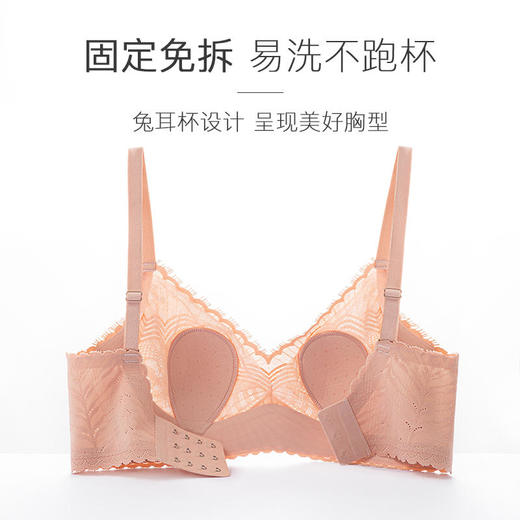 买2件送内衣洗衣液小样【撩人于无形】透梦-氧气睫毛蕾丝兔兔杯内衣云感托舒适有型兔耳杯设计无痕更聚拢轻盈不闷热防露点防外扩性感隐于此 商品图2