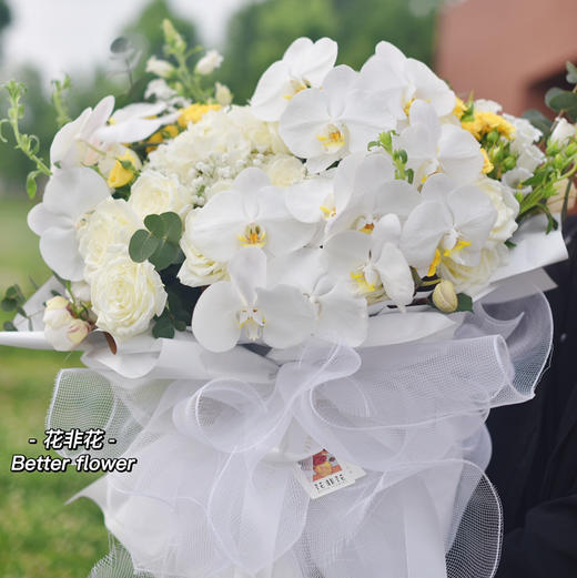 《蝴蝶》-巨型蝴蝶兰花束 商品图4