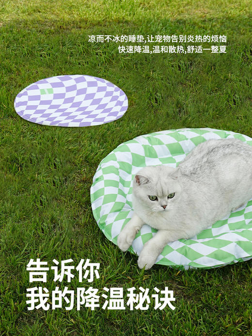 zeze宠物冰窝垫狗狗凉垫冰床猫窝猫咪睡觉用凉席夏季睡垫夏天降温神器 商品图1