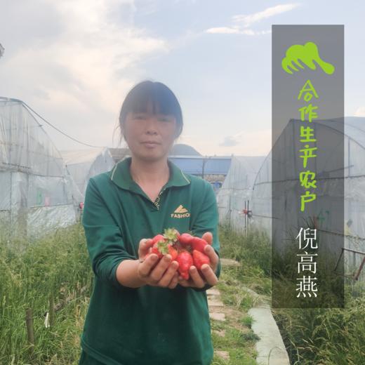 生态糟辣椒 |合作生产*  Ecological pickling pepper ｜Coproducted 商品图1