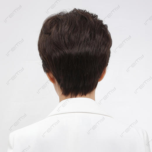 RGM-S21310HB 商品图3