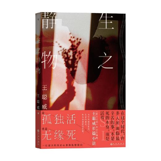 生之静物 王聪威 著 联合文学杂志总编辑王聪威长篇小说 法国新小说派 港台当代华语文学 商品图0