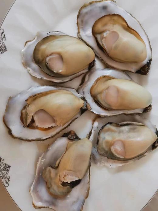 【年夜饭必备】长海县獐子岛大生蚝，单个3两/5+以上，又肥又鲜，生长海域纯净无污染，全国顺丰包邮偏远地区除外。 商品图2
