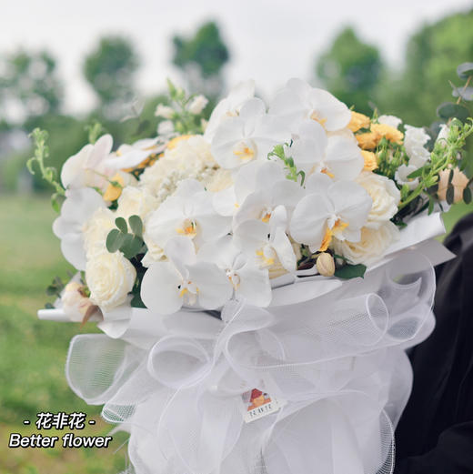 《蝴蝶》-巨型蝴蝶兰花束 商品图6