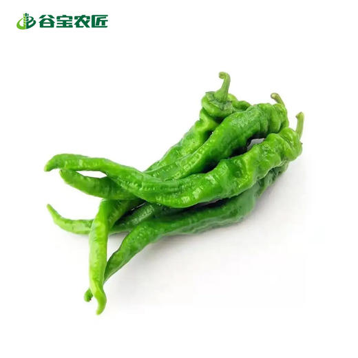 谷宝生态螺丝椒 商品图0