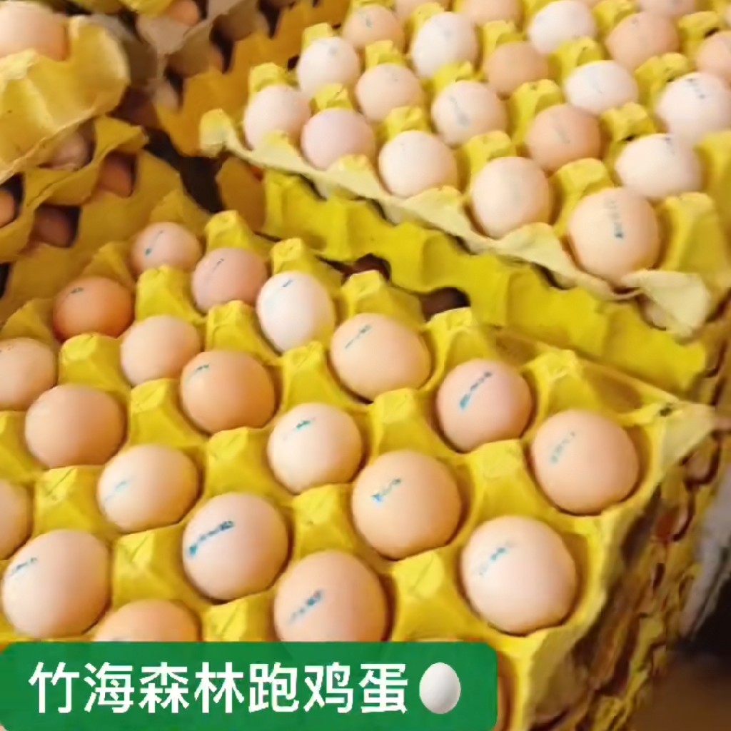 溧阳竹林跑鸡蛋（一份15个）