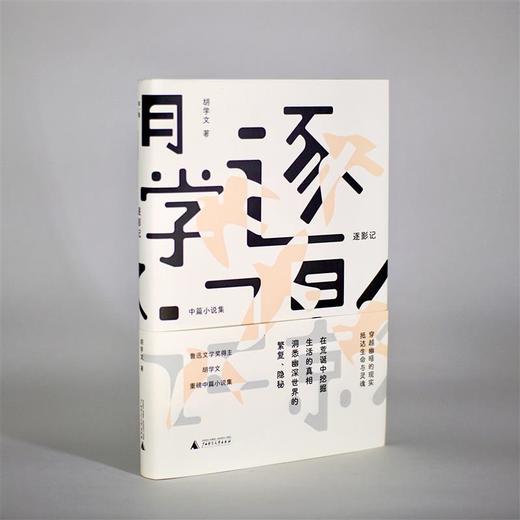 【“云端书展”专区】逐影记: 中篇小说集 胡学文/著  商品图3
