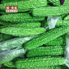 【GYZYDR】新鲜蔬菜苦瓜2斤左右/份【GY】 商品缩略图0