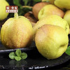 【皮薄酥脆】新鲜香梨500g/斤【GYZYDX】 商品缩略图1