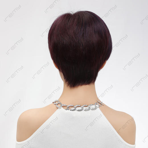 RGM-S5001HB 商品图3