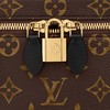 LOUIS VUITTON 路易·威登 女士 VANITY 经典老花链条化妆包 小号手袋 M45165 商品缩略图5