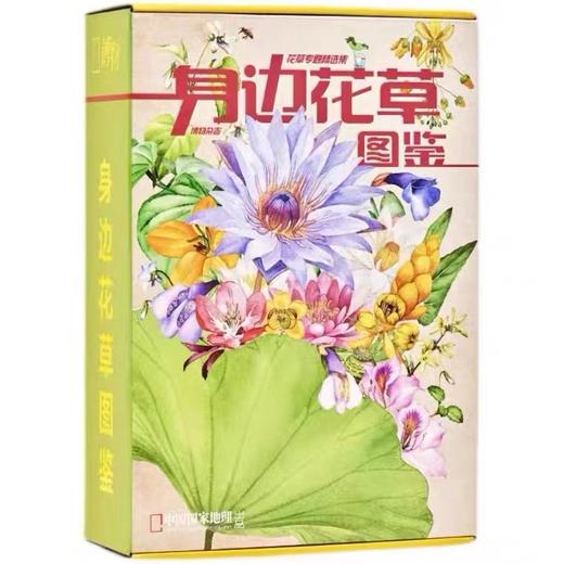 《身边花草图鉴 》博物杂志花草专题精选集 2022年增刊礼物礼盒 商品图5