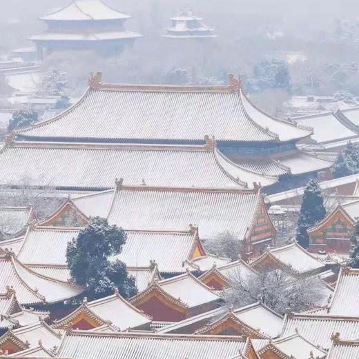 紫禁城600年茶具 雍正磁胎画珐琅芝兰祝寿黄地仿古茶具 商品图5