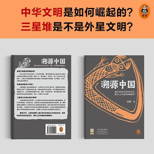 溯源中国 许宏 著 填补传说时代的历史空白 揭开上古中国的神秘面纱 许宏考古历史二里头三星堆文化 中华文明是如何崛起的 考古学知识 商品图1