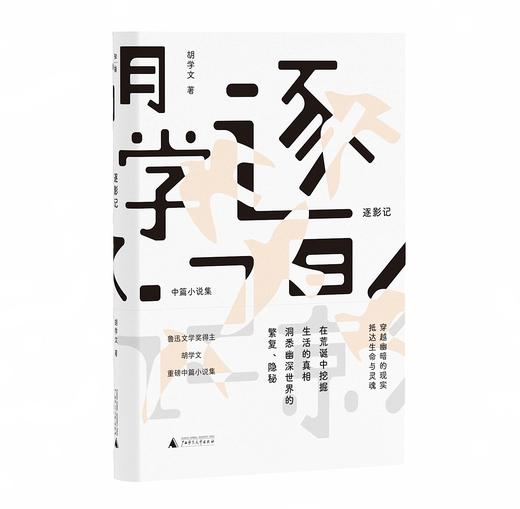 【“云端书展”专区】逐影记: 中篇小说集 胡学文/著  商品图0