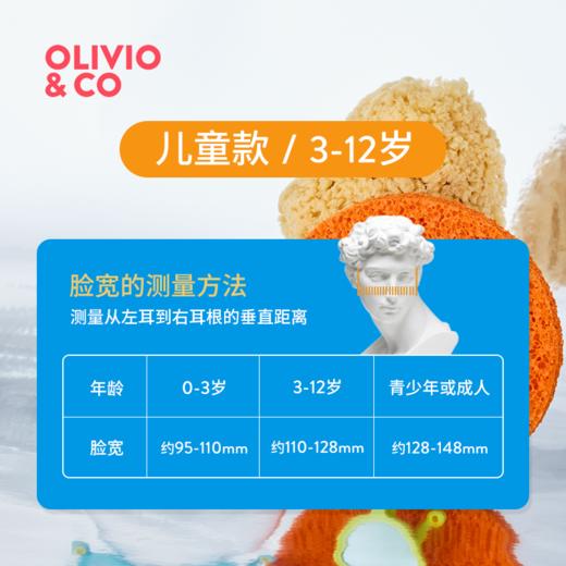 OLIVIO&CO 太阳眼镜 经典系列 超轻偏光防UV 商品图3