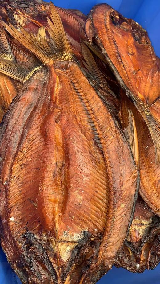 破背翘嘴鱼干 商品图1