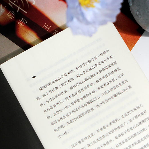 生之静物 王聪威 著 联合文学杂志总编辑王聪威长篇小说 法国新小说派 港台当代华语文学 商品图2