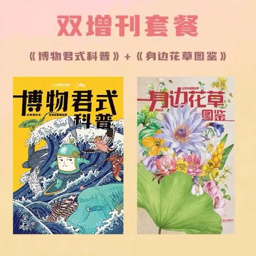 《身边花草图鉴 》博物杂志花草专题精选集 2022年增刊礼物礼盒 商品图3