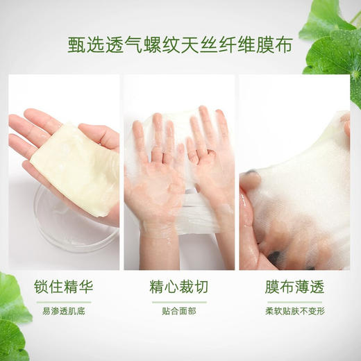 斐思妮积雪草绿膜2.0版（可批发，箱起详询客服） 商品图1