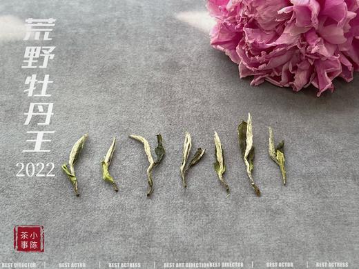 《冷香宜》，2022荒野牡丹王里的清冷寒香（60克罐装） 商品图3