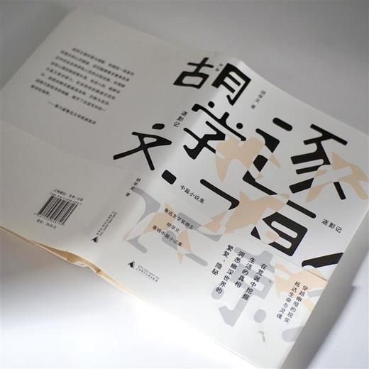 【“云端书展”专区】逐影记: 中篇小说集 胡学文/著  商品图4